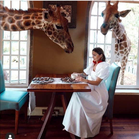 ZARA NWT BLOGGERS FAVORITE DRAPED POPLIN DRESS White Midi Maxi - Picture 7 of 16